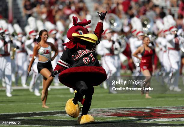 The mascot for the South Carolina Gamecocks runs onto the field against the Louisiana Tech Bulldogs before their game at Williams-Brice Stadium on...