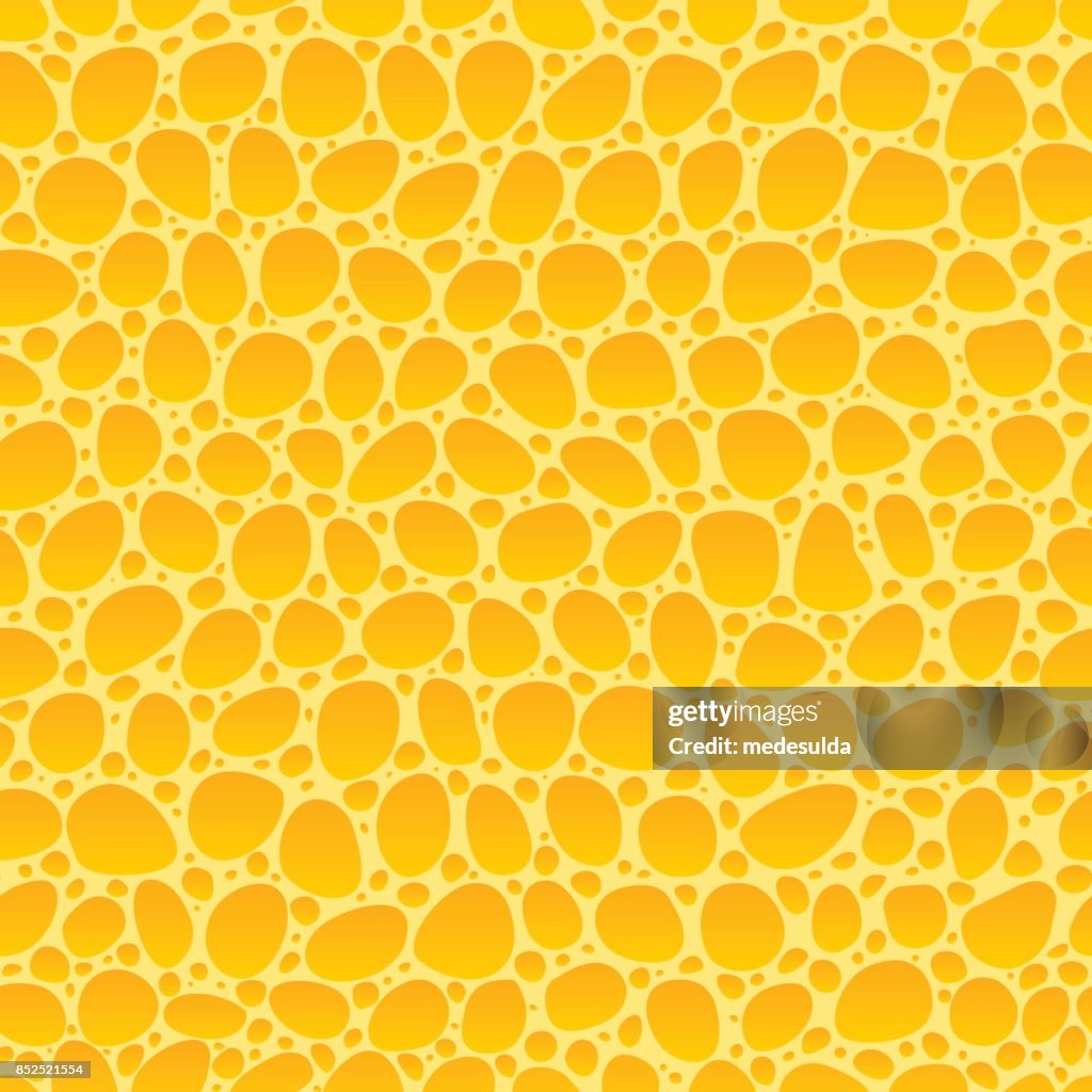 Patterned Sponge Sponge High-Res Vector Graphic - Getty Images