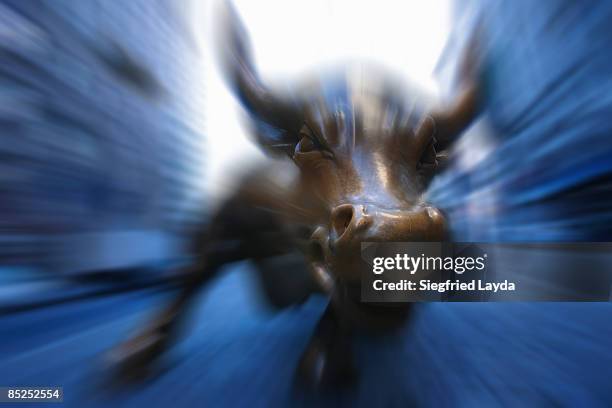 charging bull - bull photos et images de collection