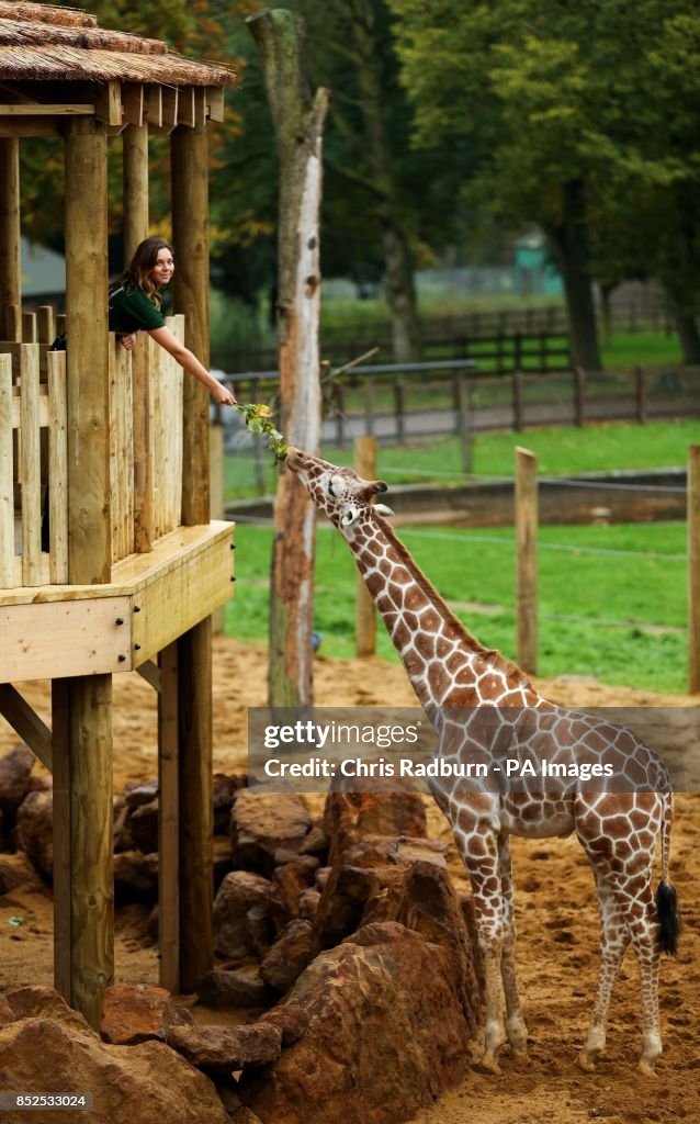 Giraffe Hights enclosure