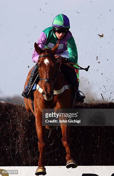 Picts Hill ridden by Liam Heard jumps the last to win The Coors Brewers Novice;s Handicap Steeple Chase at Wincanton Races on March 5, 2009 in...