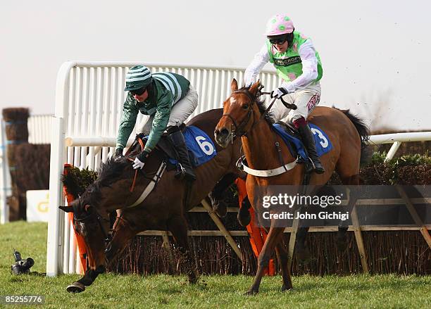 Saphire Night ridden by Charlie Huxley jumps the last to win The Bathwick Tyre Yeovil Handicap Hurdle Race at Wincanton Races on March 5, 2009 in...