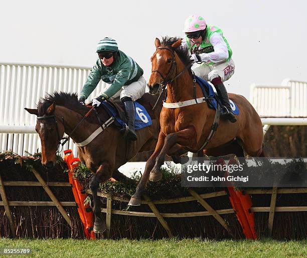 Saphire Night ridden by Charlie Huxley jumps the last to win The Bathwick Tyre Yeovil Handicap Hurdle Race at Wincanton Races on March 5, 2009 in...