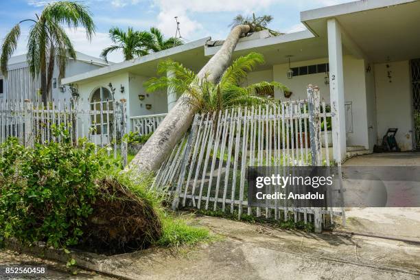 Tree damaged a house after Hurricane Maria at San Ignacio in San Juan, Puerto Rico on September 23, 2017.