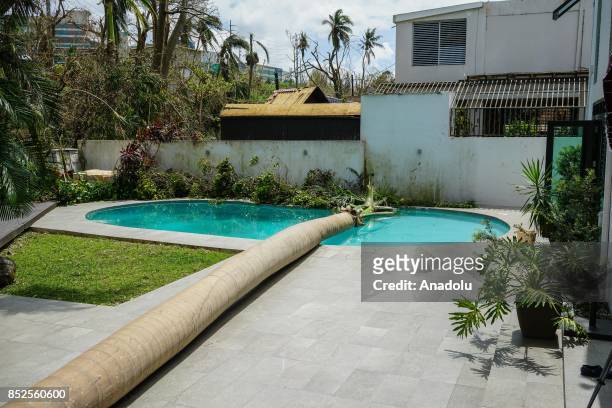 Palm tree fell on a pool after Hurricane Maria at San Ignacio in San Juan, Puerto Rico on September 23, 2017.