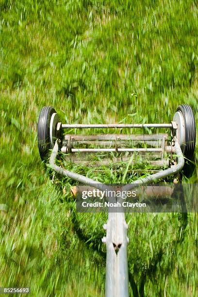 blur detail of manual lawn mower cutting grass - cortacésped manual fotografías e imágenes de stock