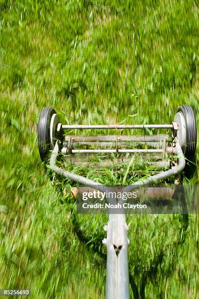 blur detail of manual lawn mower cutting grass - handgrasmaaier stockfoto's en -beelden