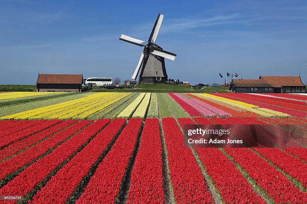 Netherlands