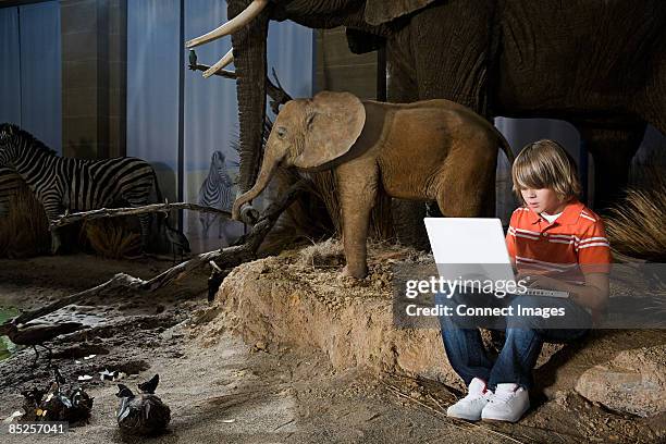 108 Elephant Computer Stock Photos, High-Res Pictures, and Images ...