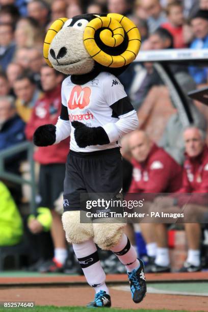 Rammy Mathopo 109 Rammy Stock Photos, High-Res Pictures, and Images - Getty Images