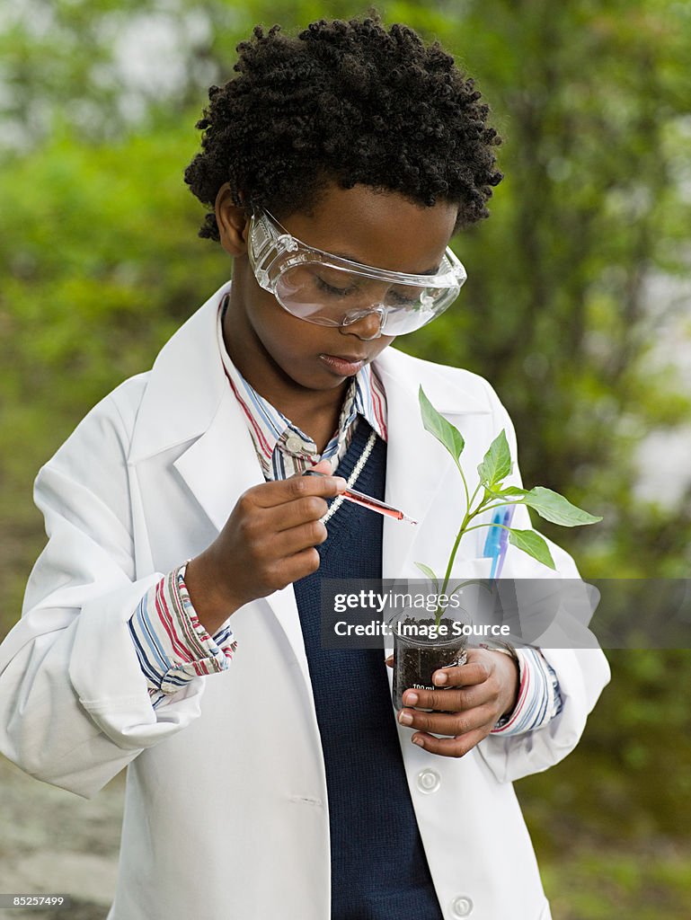 A boy doing an experiment on a plant