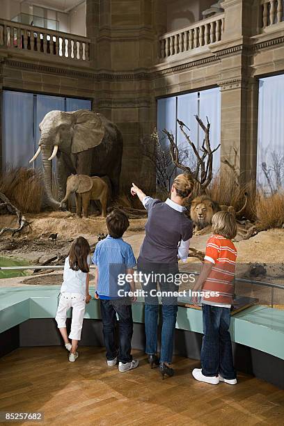 mother with children in a museum - family museum stock pictures, royalty-free photos & images