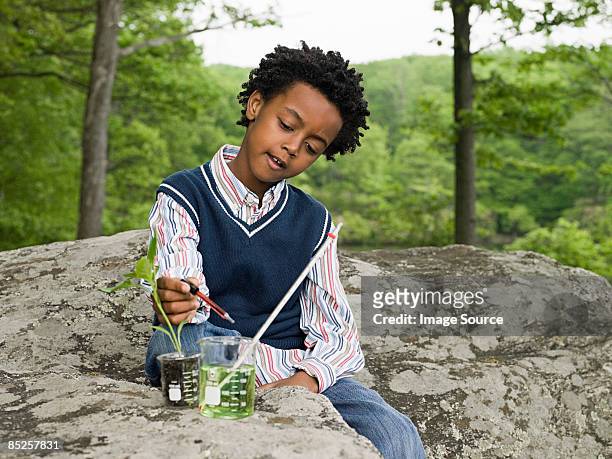 a boy doing an experiment on a plant - experimental rock stock pictures, royalty-free photos & images