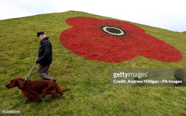 Dog walker Joe Campbell, from Bathgate, with Paddy the Red Setter walking across the Bathgate Pyramids, West Lothian, which are currently painted...