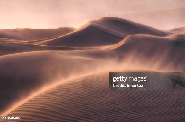 alone in a windy desert, death valley - desert foto e immagini stock