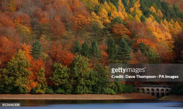 Trees on Derwent Reservoir in the Peak District hold on to their Autumn colours as weather experts predict a cold spell of weather across the UK in...