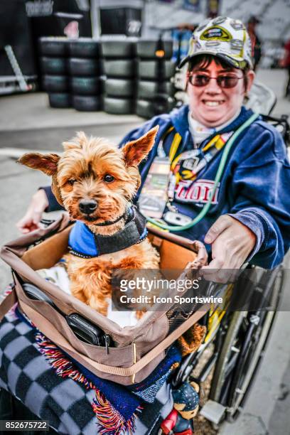 Fan and dog look on in garage area during practice for the NASCAR Camping World Truck Series UNOH 175 playoff race on September 22, 2017 at New...