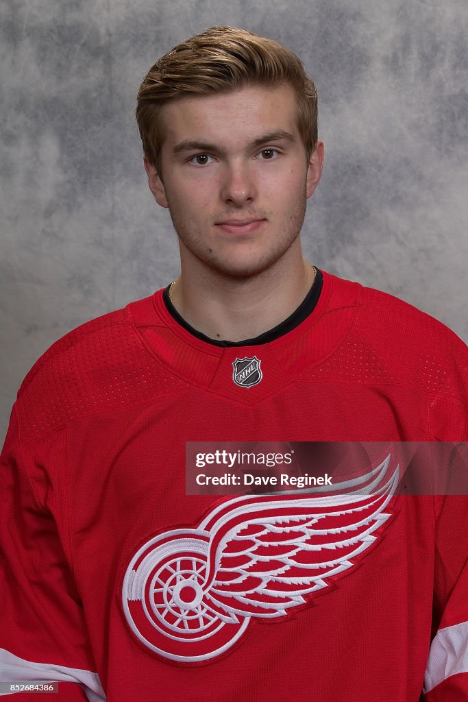 Detroit Red Wings Headshots