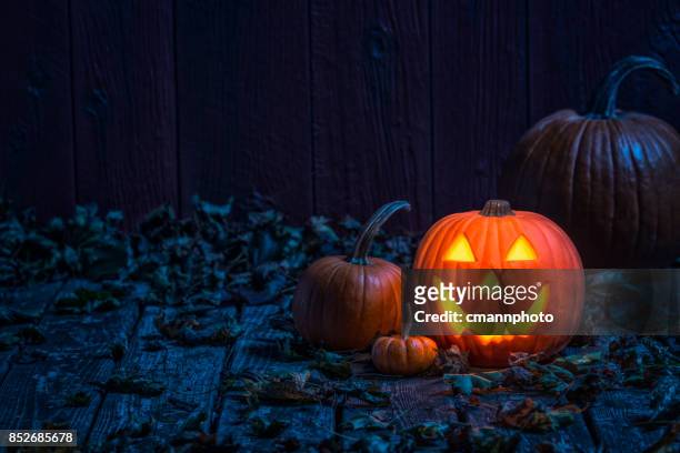 sorridente jack o' lantern sul vecchio portico di legno alla luce della luna - halloween foto e immagini stock