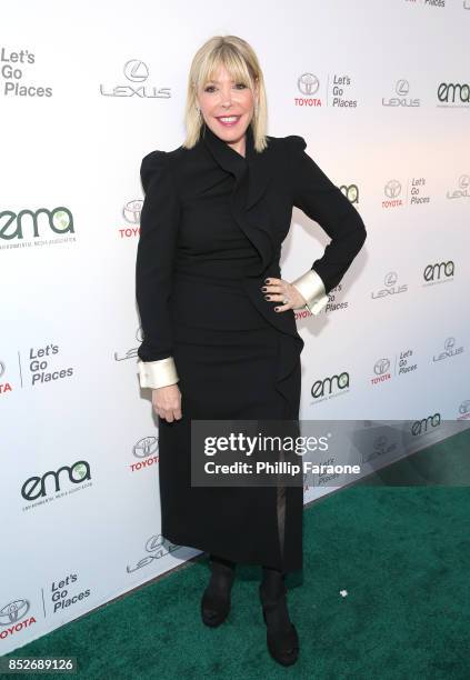 President Debbie Levin at the Environmental Media Association's 27th Annual EMA Awards at Barkar Hangar on September 23, 2017 in Santa Monica,...