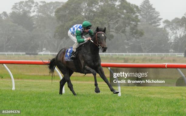 Smart Talk ridden by Harry Coffey wins the Zero3 Communications Maiden Plate at Coleraine Racecourse on September 24, 2017 in Coleraine, Australia.