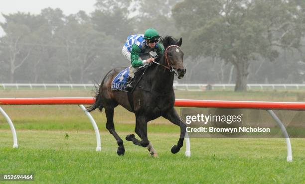 Smart Talk ridden by Harry Coffey wins the Zero3 Communications Maiden Plate at Coleraine Racecourse on September 24, 2017 in Coleraine, Australia.