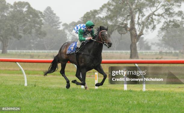 Smart Talk ridden by Harry Coffey wins the Zero3 Communications Maiden Plate at Coleraine Racecourse on September 24, 2017 in Coleraine, Australia.