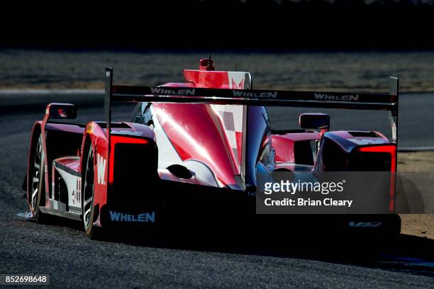 The Cadillac DPi of Dane Cameron and Eric Curran races on the track during practice for the IMSA WeatherTech Sportscar Series race at Mazda Raceway...