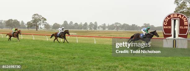 Smart Talk ridden by Harry Coffey wins the Zero3 Communications Maiden Plate at Coleraine Racecourse on September 24, 2017 in Coleraine, Australia.