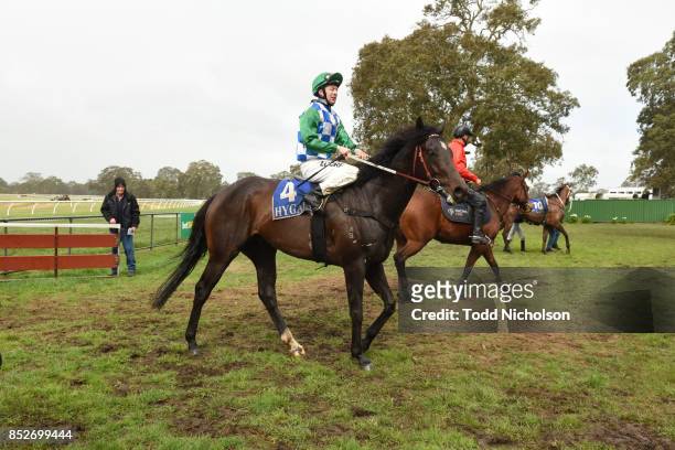 Smart Talk ridden by Harry Coffey returns after the Zero3 Communications Maiden Plate at Coleraine Racecourse on September 24, 2017 in Coleraine,...