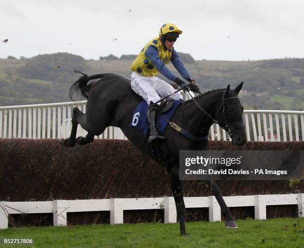 Robin Lander Rider 496 Robin Handler Stock Photos, High-Res Pictures, and Images - Getty ...