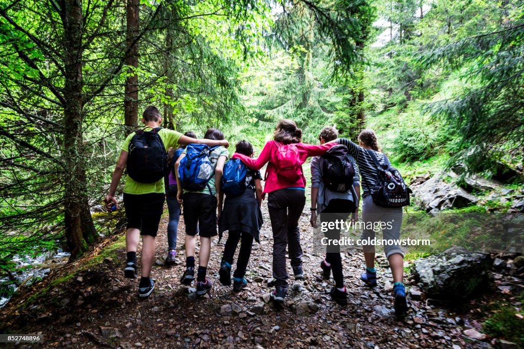 Adventuring teenage friends arm in arm together while hiking in the mountains, Apuseni, Romania