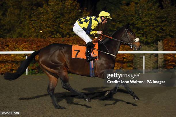 Shane Shortall 897 Shane Handler Photos & High Res Pictures - Getty Images