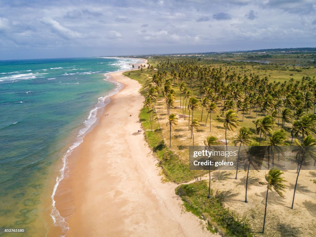 Vista drone sulla costa con spiaggia di Palm a Bahia, Brasile