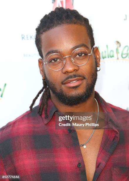 Terrance Keith Richardson arrives at Hollywood Weekly Magazine 4th Annual film festival at Raleigh Studios on September 23, 2017 in Los Angeles,...