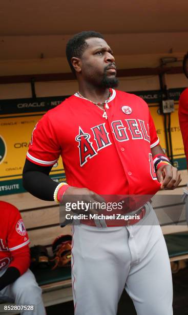 Brandon Phillips of the Los Angeles Angels of Anaheim stands in the dugout prior to the game against the Oakland Athletics at the Oakland Alameda...