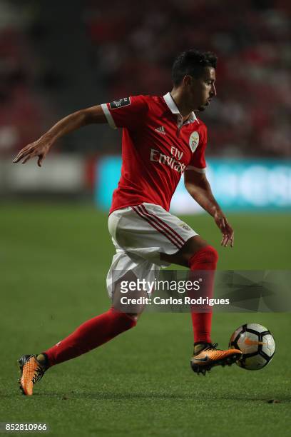 Benfica's defender Andre Almeida from Portugal during the match between SL Benfica and FC Paco de Ferreira for the round seven of the Portuguese...