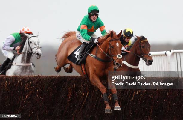 345 Ben Chestnut Stock Photos, High-Res Pictures, and Images - Getty Images