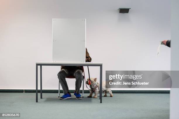 Man seated behind voting booths as they fill in their election ballots at a polling station during German federal elections on September 24, 2017 in...