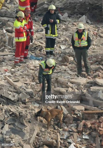 Helpers with a search dog examines the ruine of the building of the collapsed Historical Archive of the City of Cologn to seek for missing slopped...