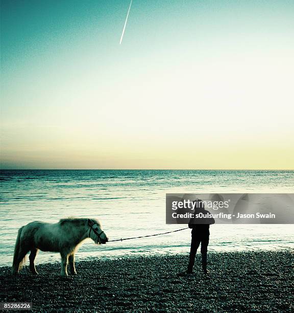 take a horse to water - s0ulsurfing stock pictures, royalty-free photos & images