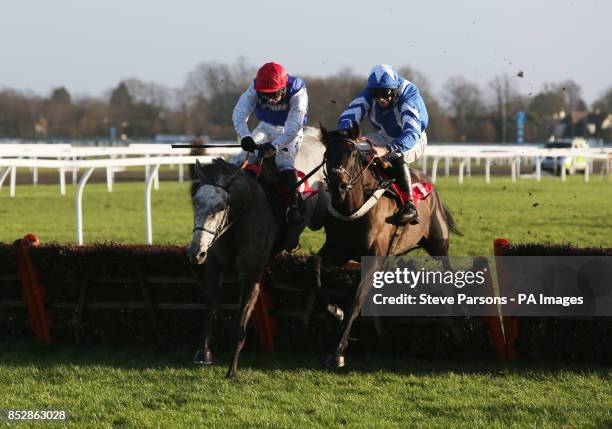 Mickie ridden by Richard Johnson beats Cannon Fodder ridden by Marc Goldstein to win the William Hill - Download The App Mares' Handicap Hurdle race...