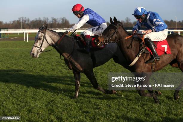 Mickie ridden by Richard Johnson beats Cannon Fodder ridden by Marc Goldstein to win the William Hill - Download The App Mares' Handicap Hurdle race...