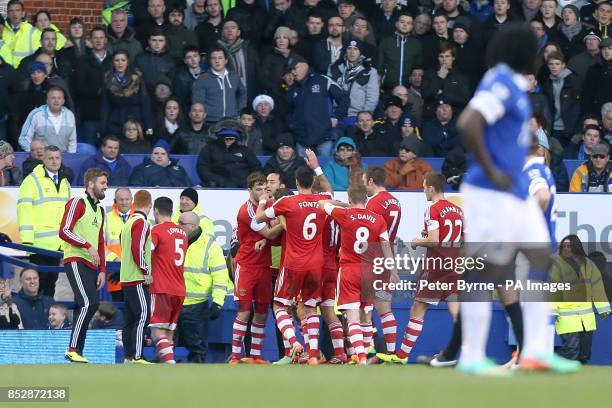 Southampton's Gaston Ramirez celebrates scoring their first goal of the game with team-mates