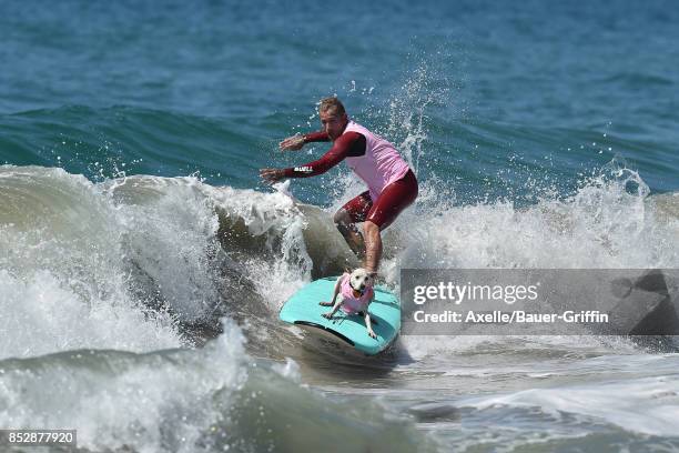 Sugar the Surfing Dog and Ryan Rustan compete in the 9th Annual Surf City Surf Dog competition on September 23, 2017 in Huntington Beach, California.