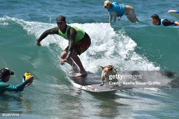 Skyler and Brandon Smith compete in the 9th Annual Surf City Surf Dog competition on September 23, 2017 in Huntington Beach, California.