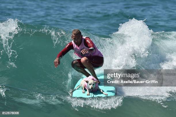 Sugar the Surfing Dog and Ryan Rustan compete in the 9th Annual Surf City Surf Dog competition on September 23, 2017 in Huntington Beach, California.