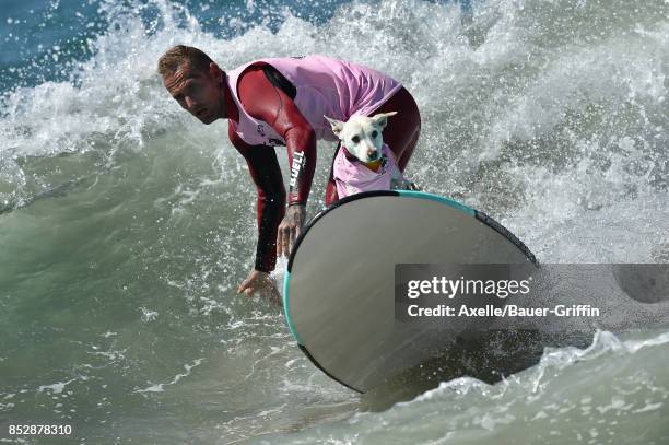 Sugar the Surfing Dog and Ryan Rustan compete in the 9th Annual Surf City Surf Dog competition on September 23, 2017 in Huntington Beach, California.