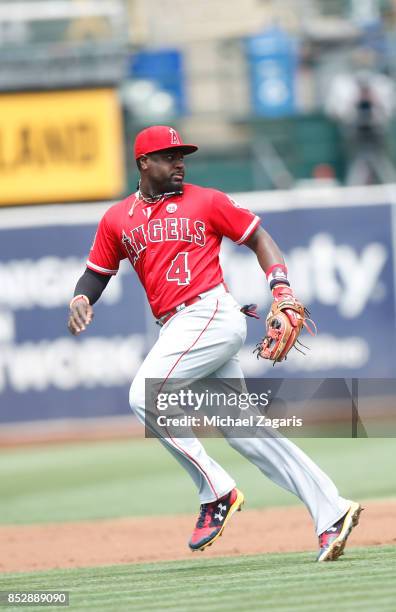 Brandon Phillips of the Los Angeles Angels of Anaheim fields during the game against the Oakland Athletics at the Oakland Alameda Coliseum on...