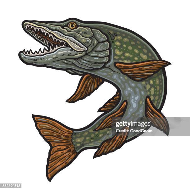 powerful pike - pike stock illustrations